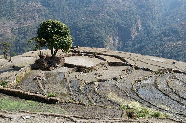  - Nepal