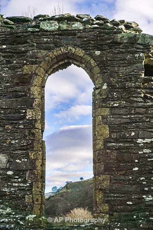 ACP01999-1 - Strata Florida Abbey