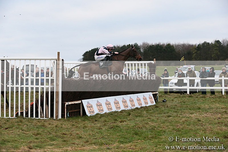 PtP 060119 457 - Larkhill Racing Club - Point-to-Point- 06/01/2019