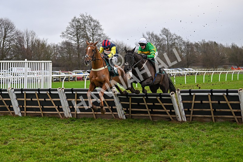 110124-Race 4-Hasthing-2587 - Race 4