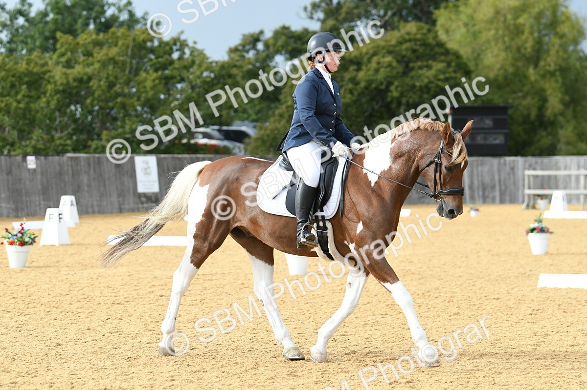 SBM_11052 - D28 Elementary Taster Elementary 42