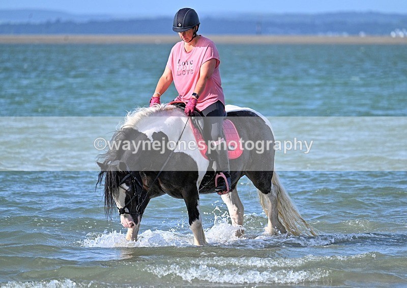 WJ7_4171_1 - Kellie & Churchill ... do Hayling Island 25-08-24