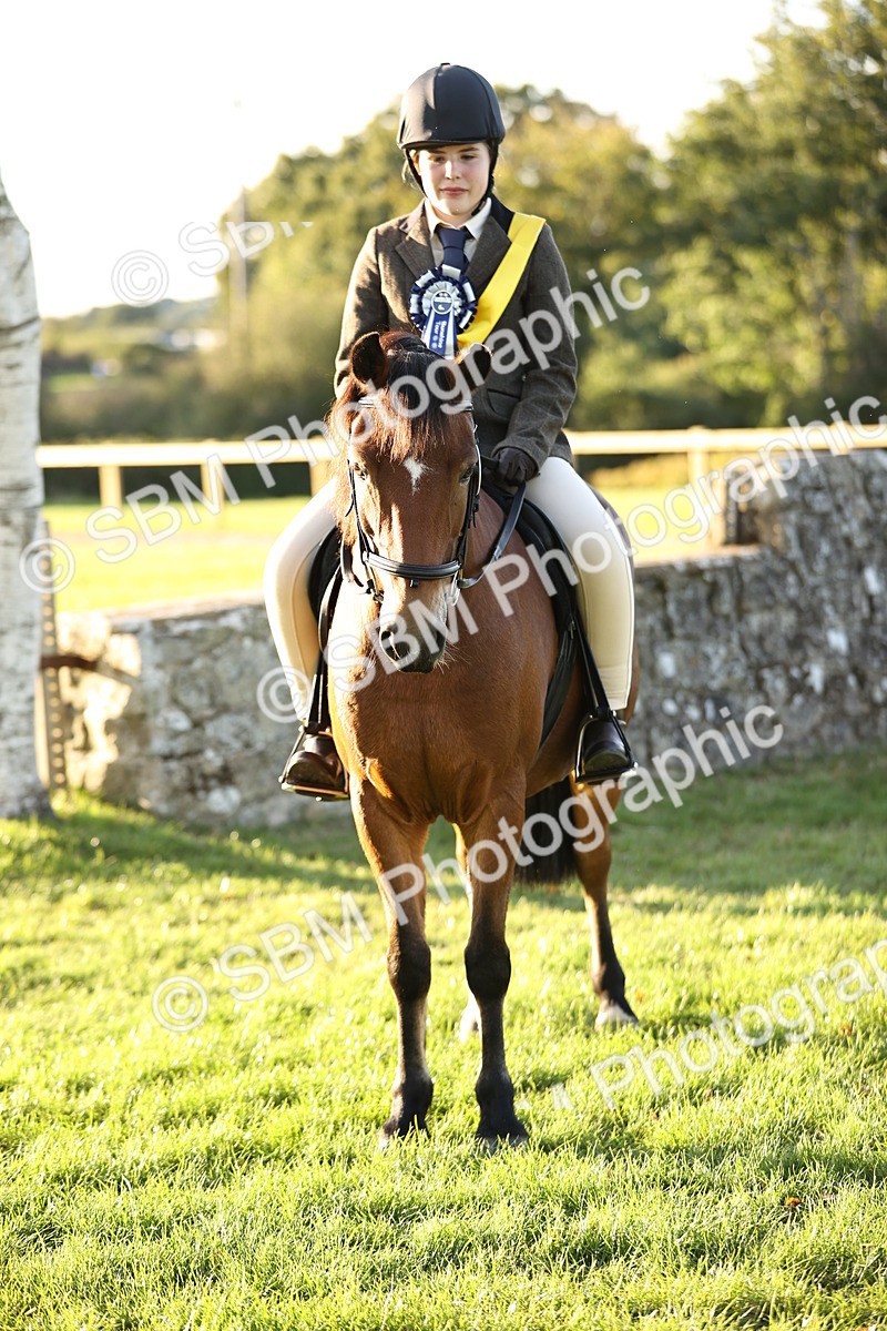 SBM_30151 - Novice & Newcomers Supreme Championship