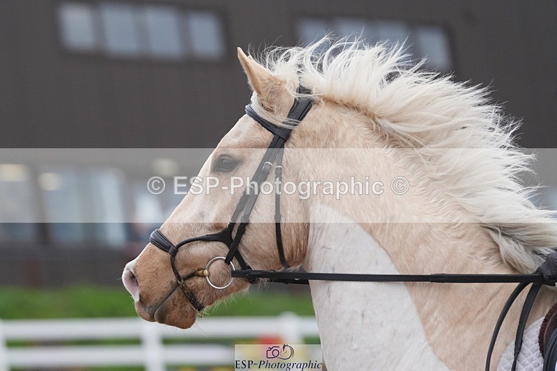 251129-095935-00096 - 50cm