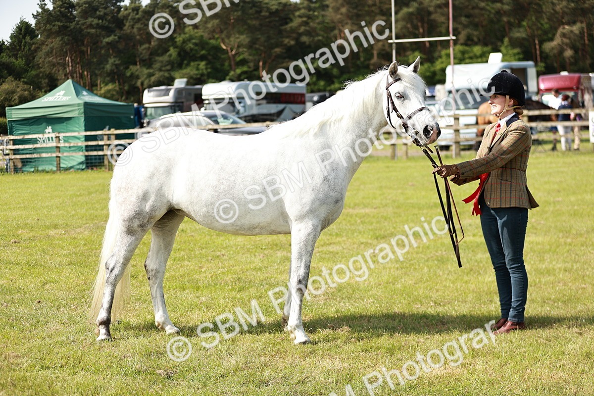 SBM_01648 - Class 14-23 - Mountain & Moorland In Hand Non Welsh