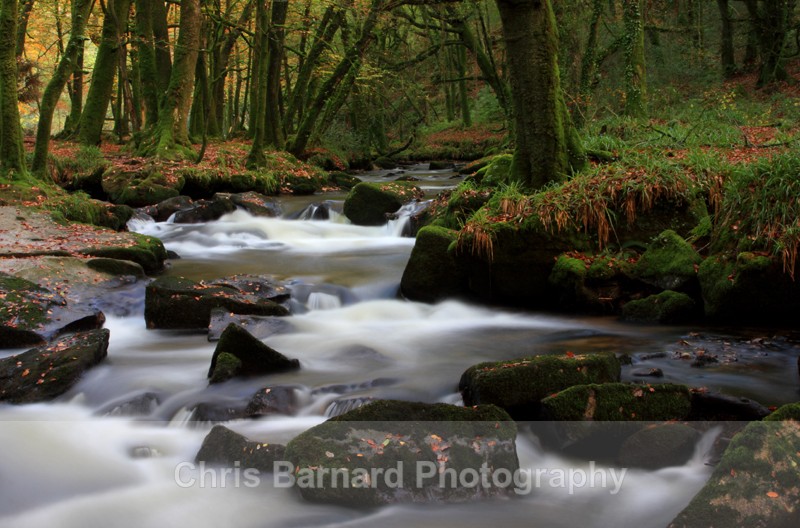  - Golitha Falls