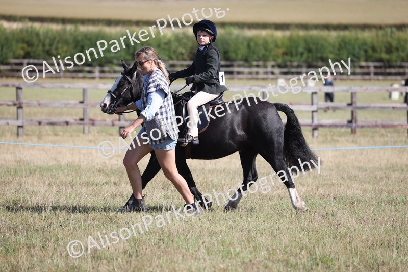 20260906-2201 - Class 16 - Family Pony