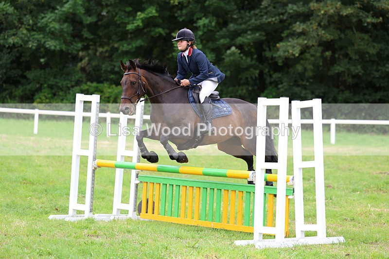 3E7A7175 - Class 5: Senior British Novice/90cm open