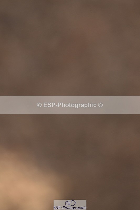 240628A-194207-01950 - Cls 7 Graham Heath 128cm + 138cm