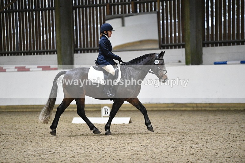 WJ5_7729 - Time 09:48 to 10:28