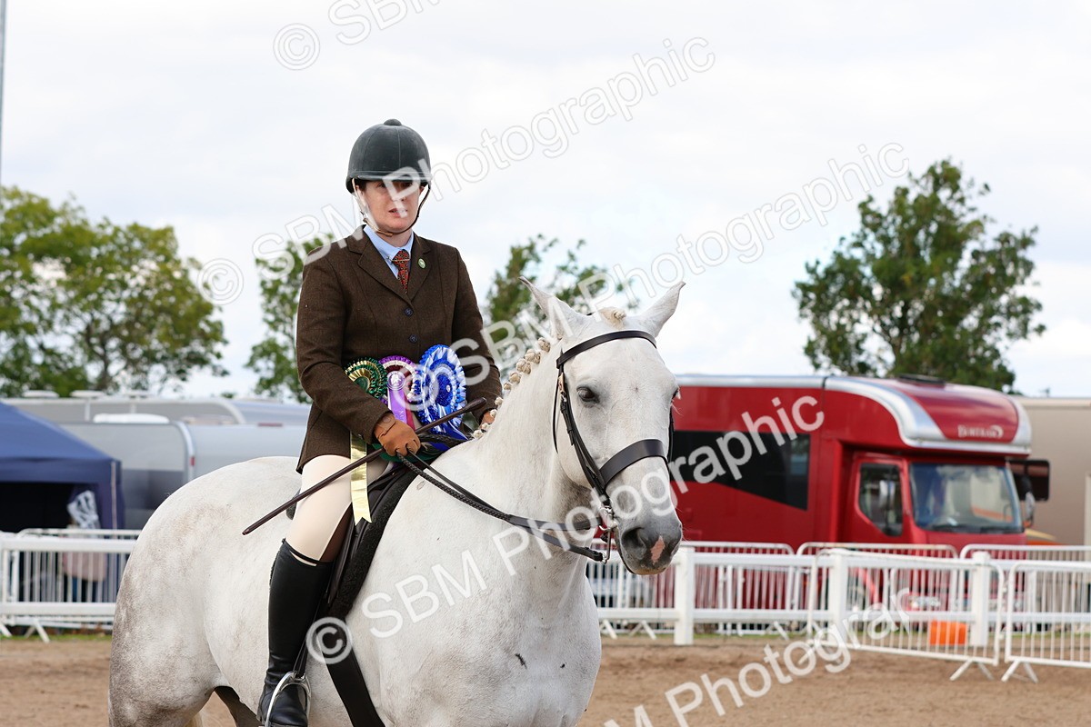 SBM_13582 - Class 212 - Ridden Hunter  - Large