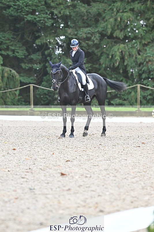 231019-104306-01942 - 102-BAGHEERA-Althea.Bleekman-DR