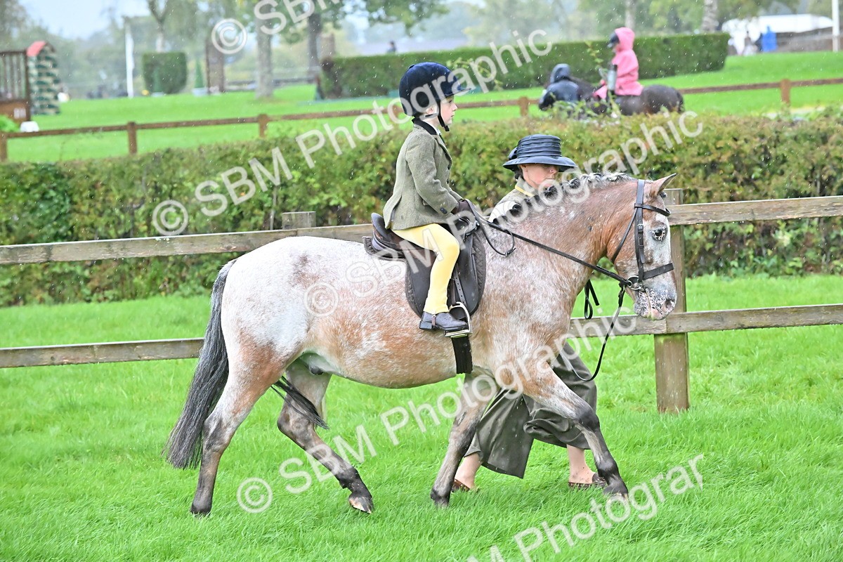 SBM_36474 - S18 - Novice & Newcomer Lead Rein Pony