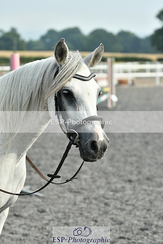 230817-094510-00244 - Theo's 1st Group - Arena