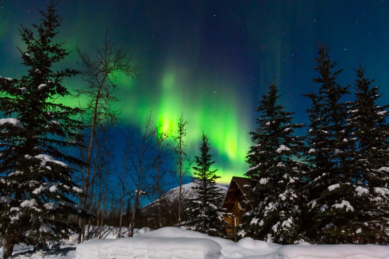 Alaskan Aurora 3