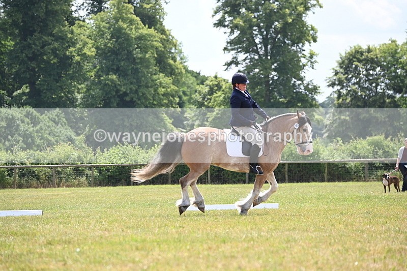 WJ6_7415 - Time 12:25 to 12:56