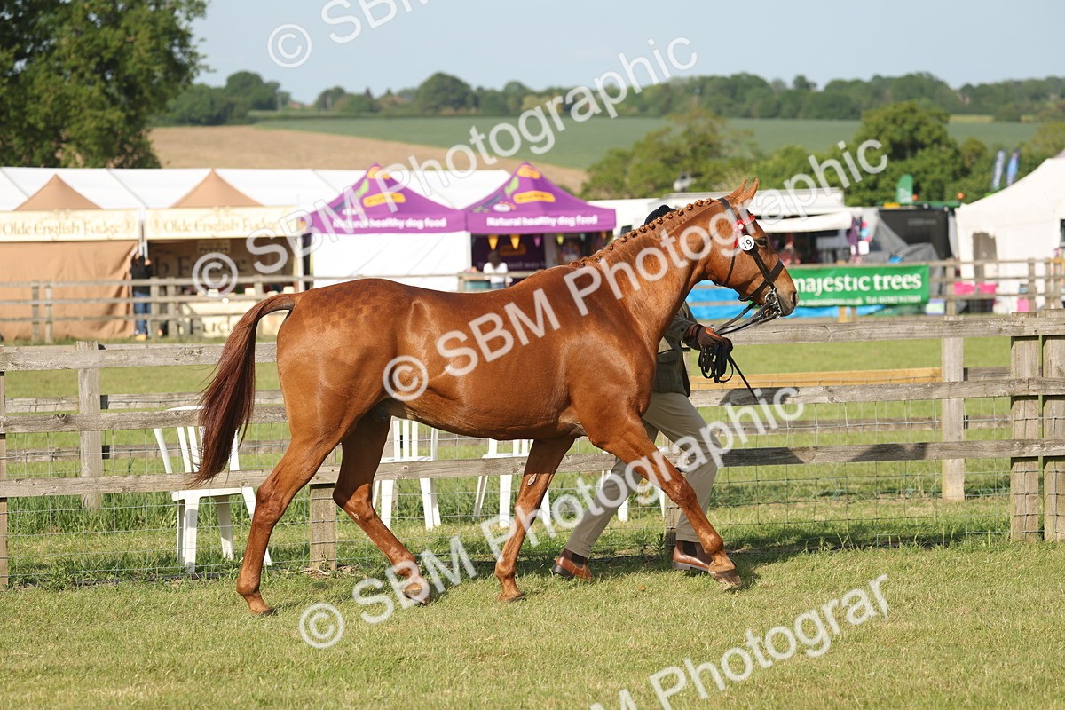 SBM_10453 - Class 33-38 - SSADL RIHS Qualifiers