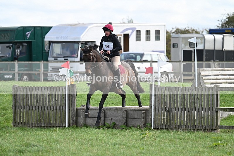 WJ7_8332 - 60cm Pairs