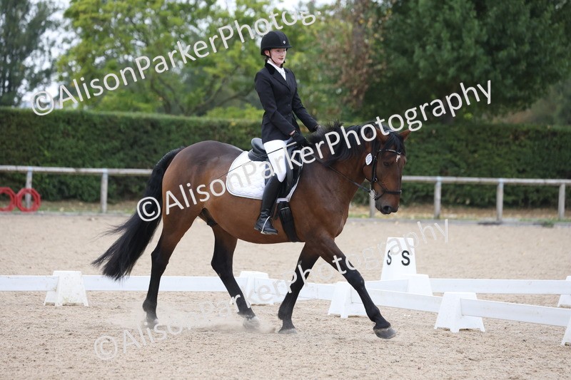 20250820-0354 - Class 11 - My Quest Novice 3