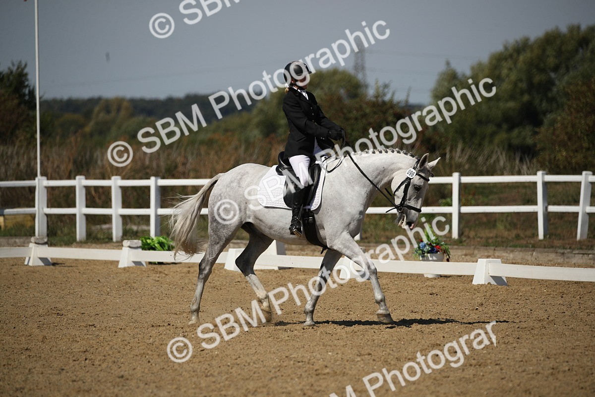 SBM_005151 - Class 11 - Novice 5 - 11.41-12.58