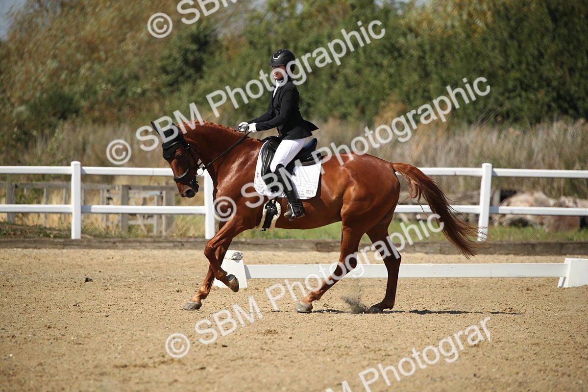 SBM_005132 - Class 11 - Novice 5 - 11.41-12.58