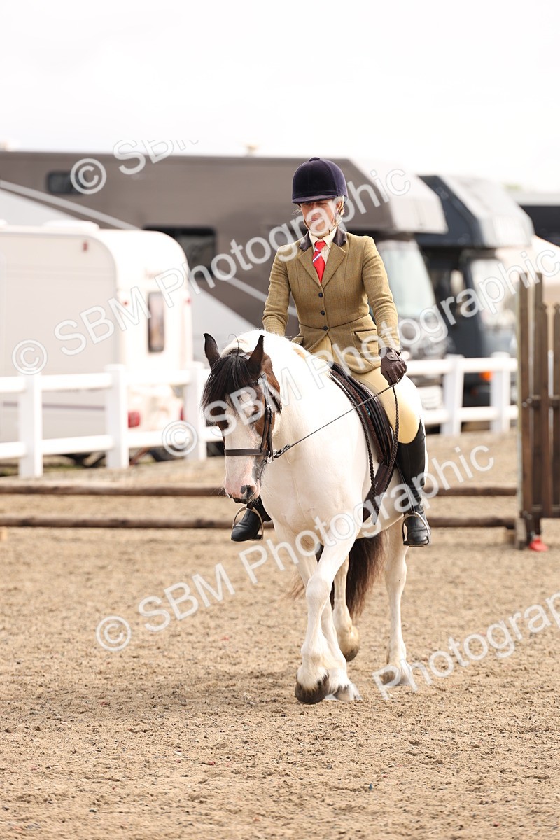 SBM_04275 - Class 54 - Riding Club Horse/Pony