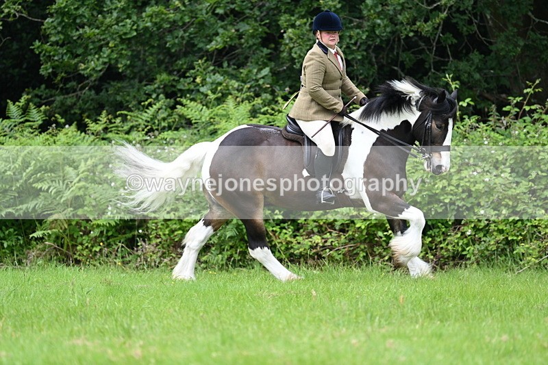WJ7_2367 - Class 12A Coloured Class