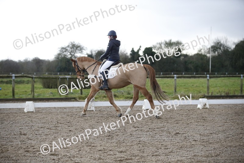 20260127-0415 - Class 17 - BD Novice 3