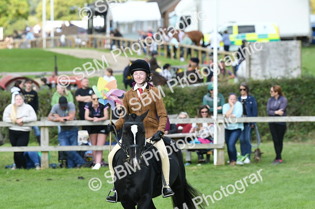 SBM_47066 - S12 - Family Horse & Pony