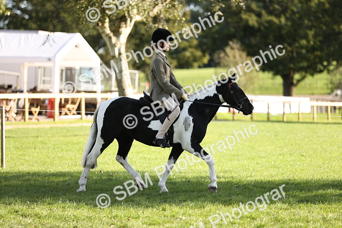 SBM_29315 - S7 - Novice & Newcomers Ridden Pony