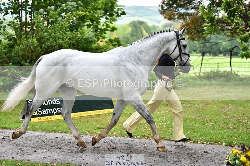 240522-161548-00823 - 163-BRECHFA_BARUCH-Harriet_Beeby_Wynn