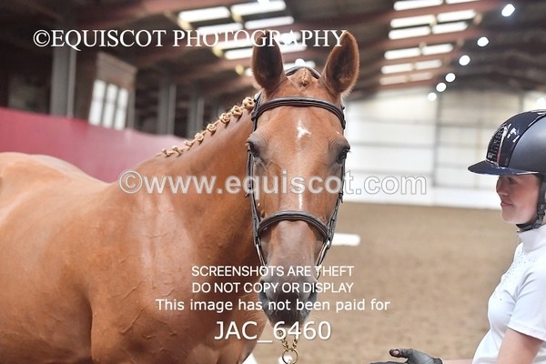 JAC_6460 - 19 Luca