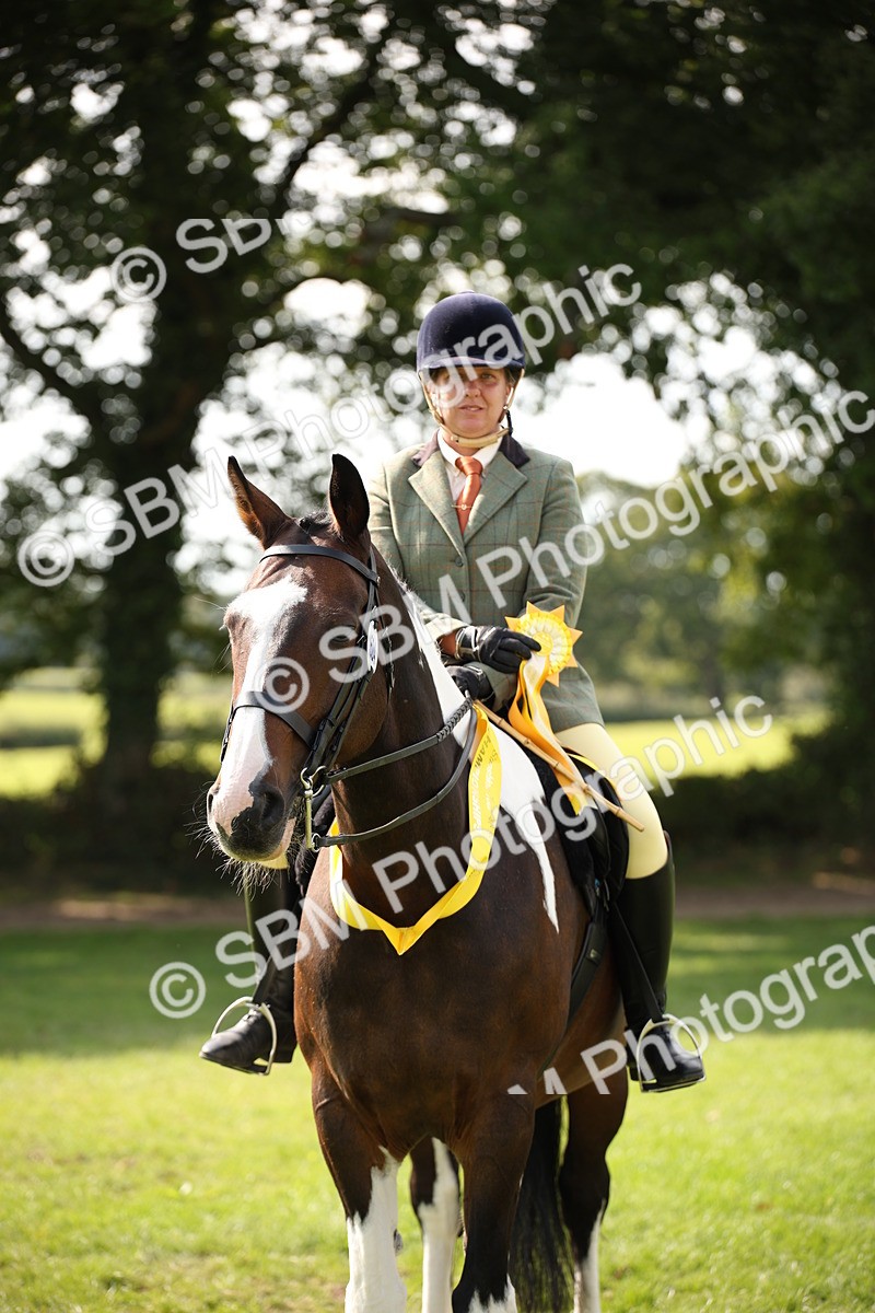 SBM_70147 - S65 - Piebald & Skewbald Horse Ridden