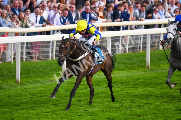 260823-Race 7-Astro King-1062 - Race 7 Sky Bet Finale Handicap at York