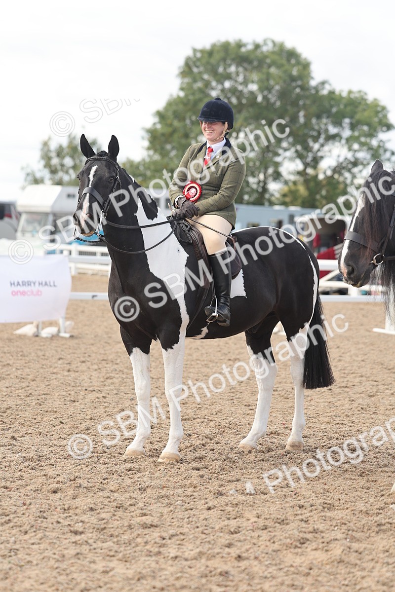 SBM_14849 - Class 308 - Ridden Coloured Horse