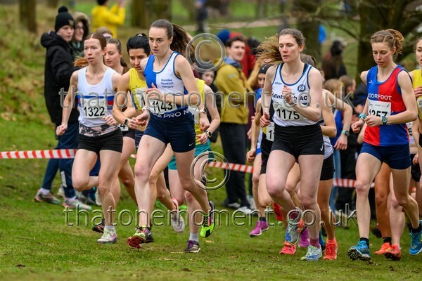 Falkirk26-913115 - Senior Women Set One