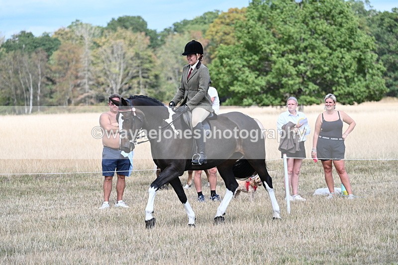 WJ7_6073 - Class 13 Ridden Veterans