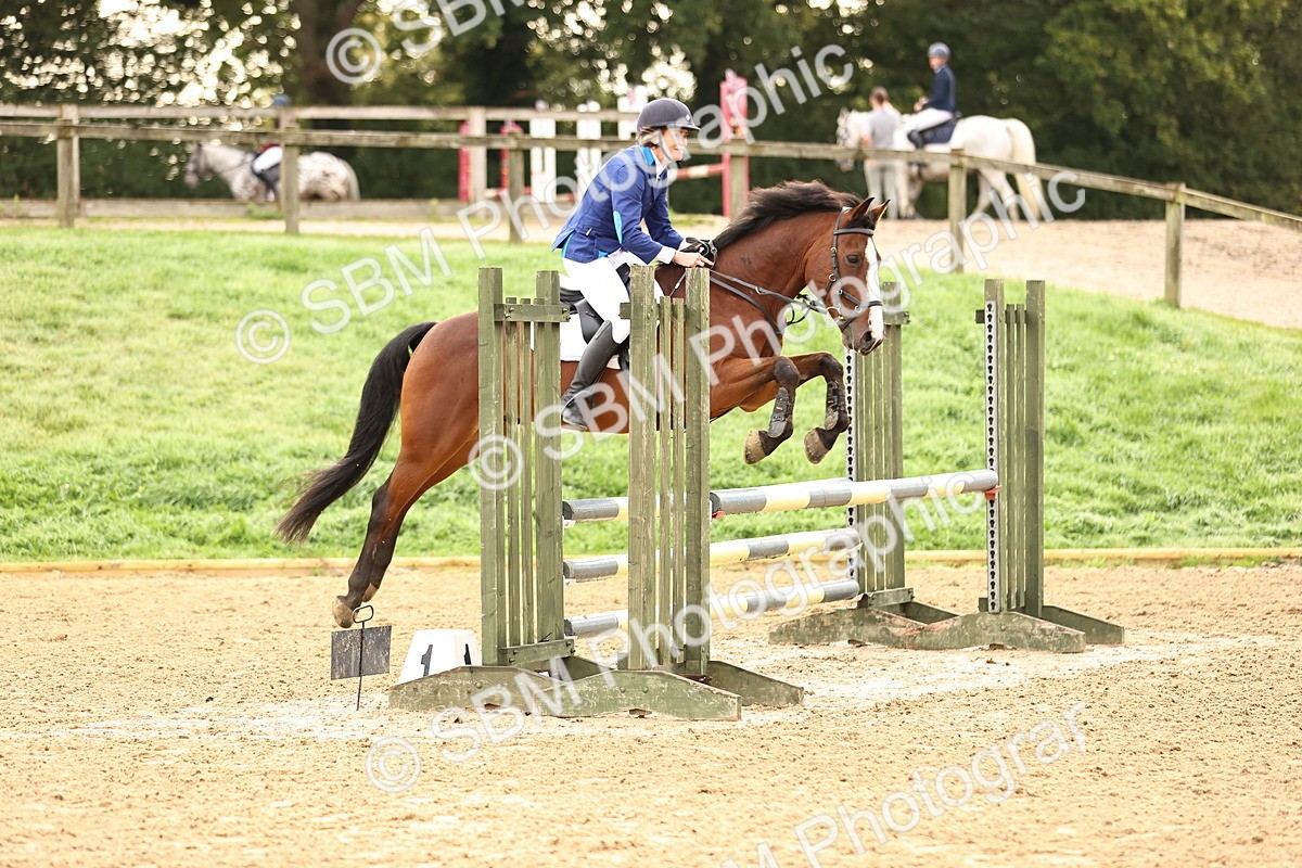 SBM_58227 - J41 - Grand Tour Horse & Pony 95cm