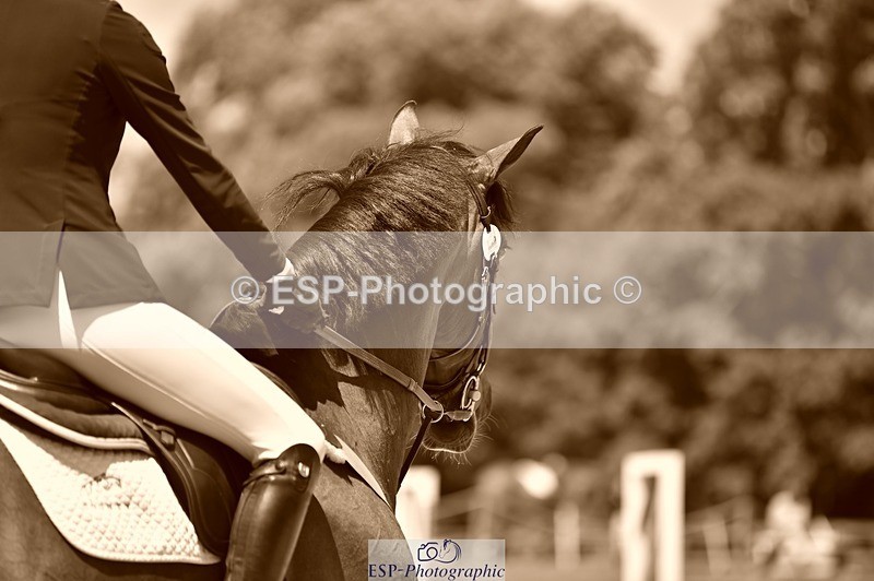 230706-124432-02908 - Cls 6 Newcomers & 1.10m Open