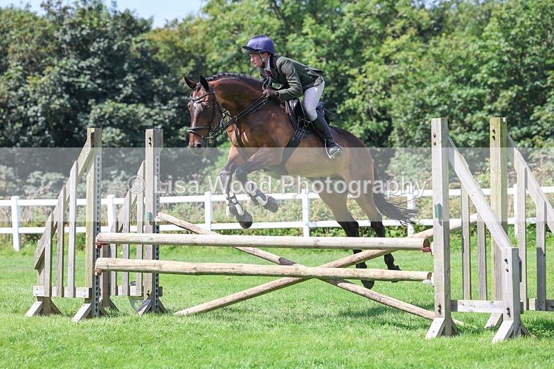 3E7A8906 - Class 6: Open Working Horse