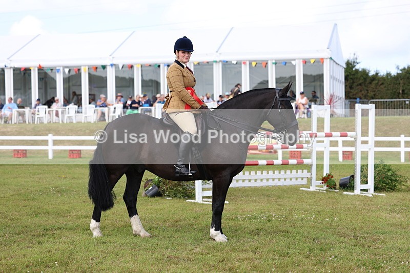 3E7A0114 - Class 5: Rising Star Lightweight/Heavyweight Cobs