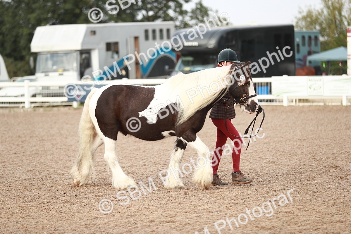 SBM_09497 - Class 201 Best Turned Out IH