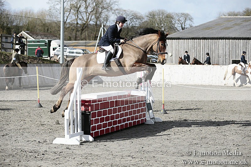 BVRC SJ 170319 686 - Bourne Valley Riding Club Showjumping 17/03/19