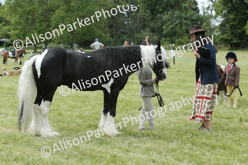 20260614-4269 - Class 18 - Best Junior Handler