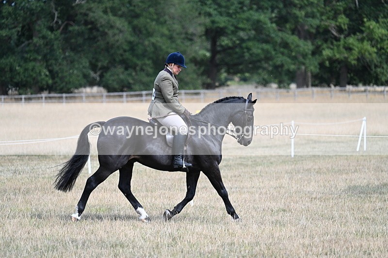 WJ7_6120 - Class 13 Ridden Veterans