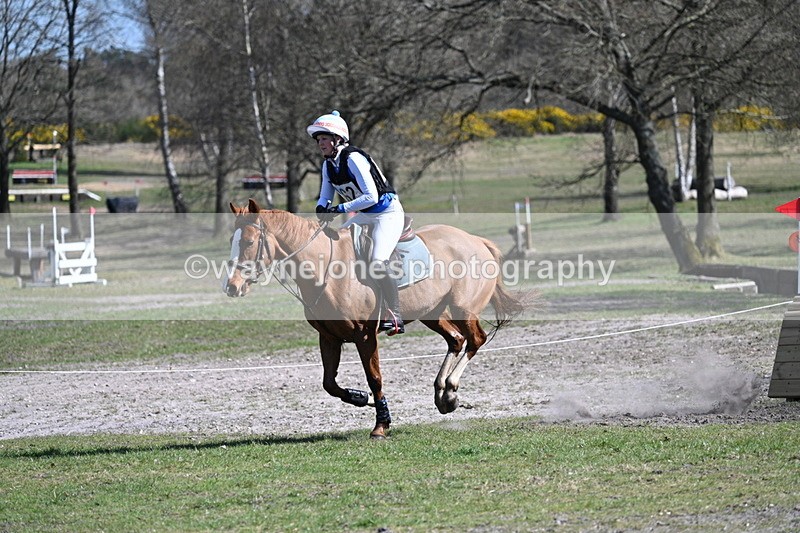 WJ7_1376 - XC Time 13:35 to 13:40