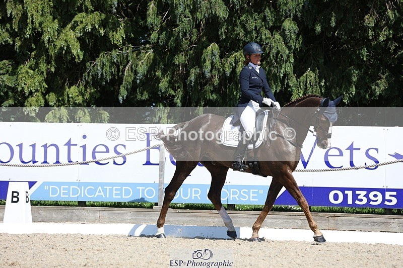 230526-145609-06585 - 376-DIRECT_BALLYTARSNA_DUCAREL-Jodie_Amos-WEDTrotUp+DR