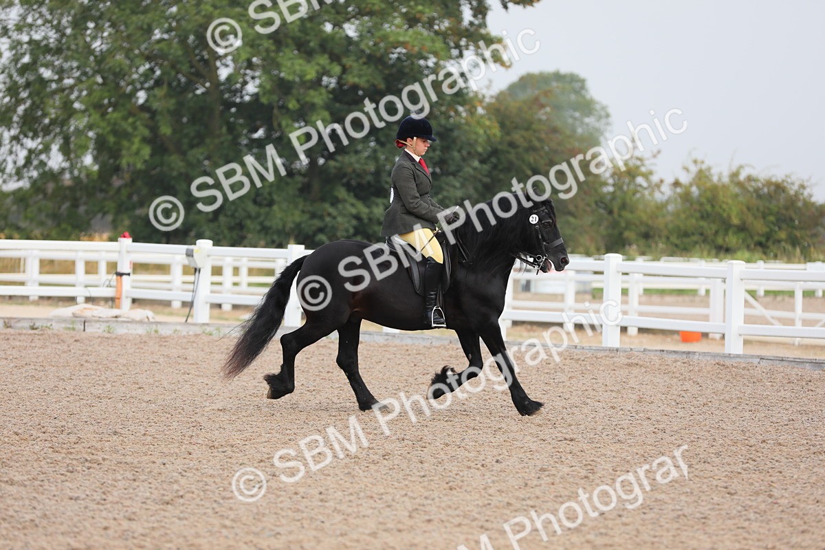SBM_09987 - Class 302 Ridden M&M -Large Breeds