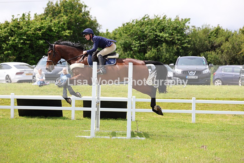 3E7A7399 - Class 13: Senior British Novice/90cm open