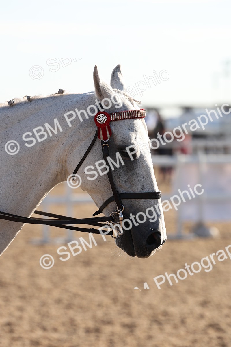 SBM_10866 - Class 202 - Best Turned Out - Ridden